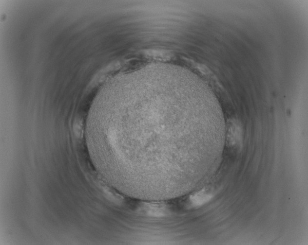 X0000083990713200703021939