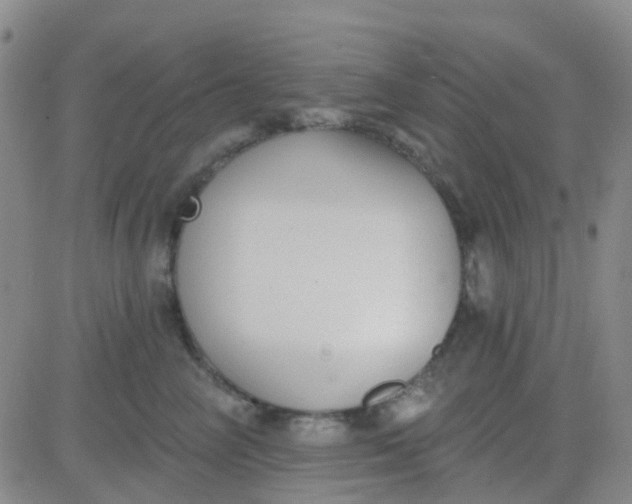 X0000083990714200703021939