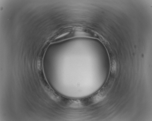 X0000083990715200703021939