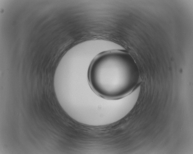 X0000083990716200703021939