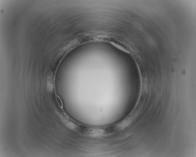 X0000083990719200703021939