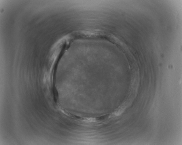 X0000083990720200703021939