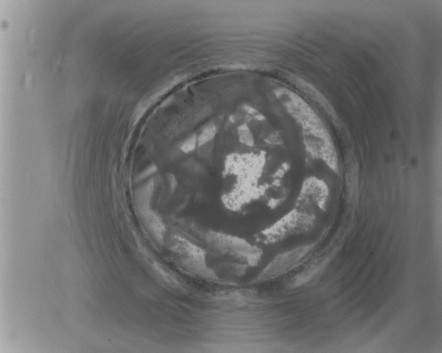 X0000083990721200703021939