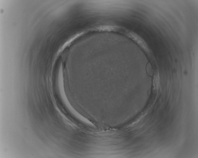 X0000083990722200703021939