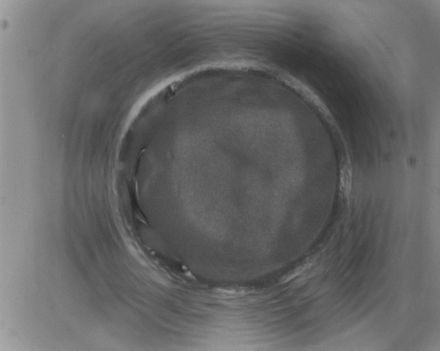 X0000083990724200703021939