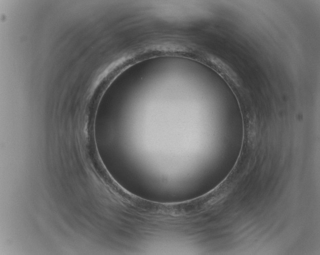 X0000083990727200703021939