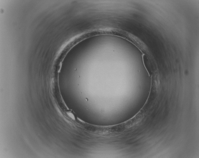 X0000083990728200703021939