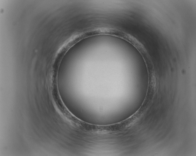 X0000083990730200703021939