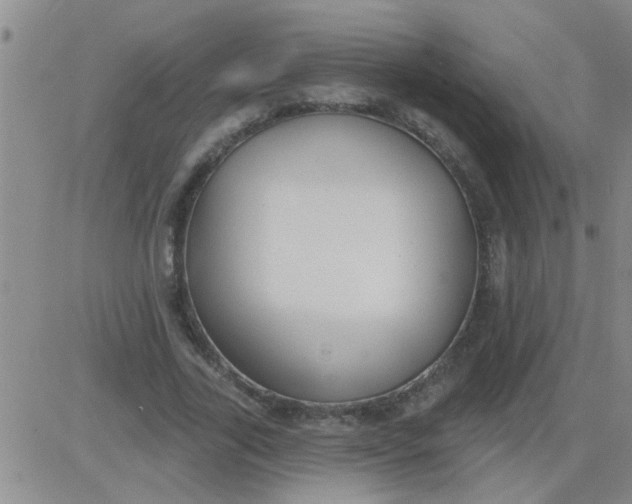 X0000083990731200703021939