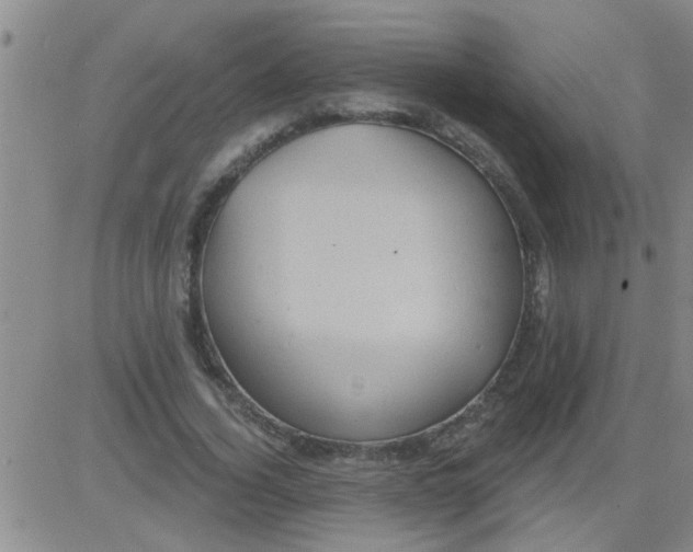 X0000083990732200703021939