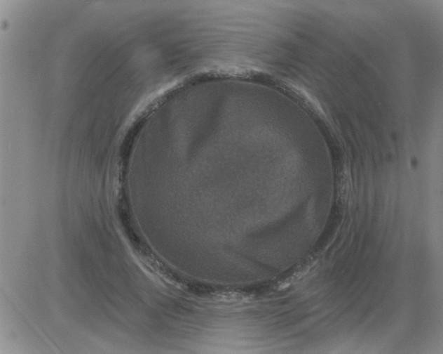 X0000083990736200703021939