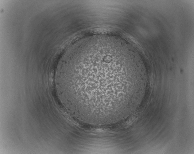 X0000083990737200703021939