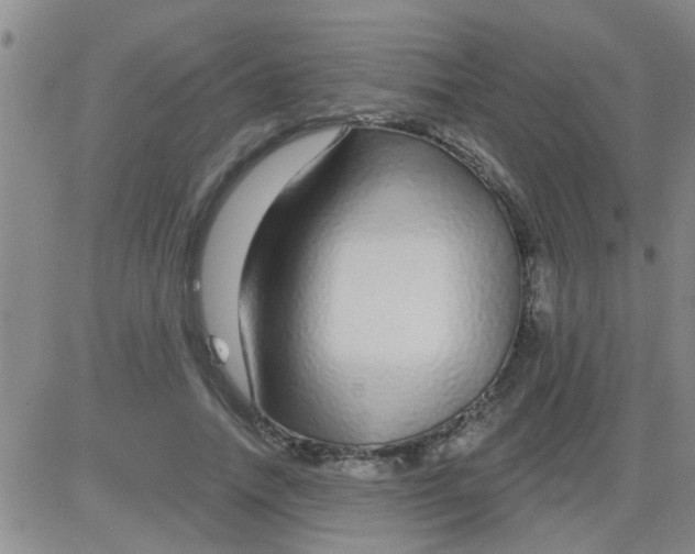 X0000083990738200703021939