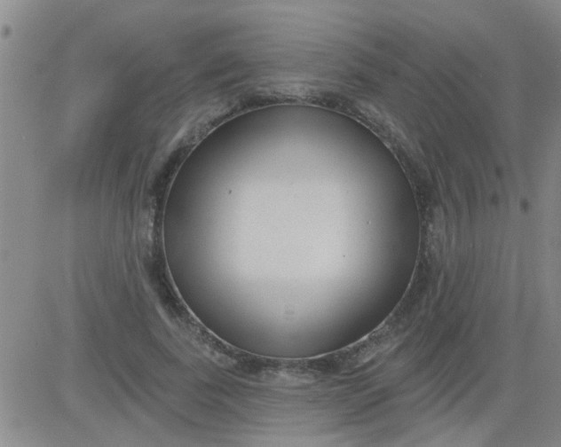 X0000083990739200703021939