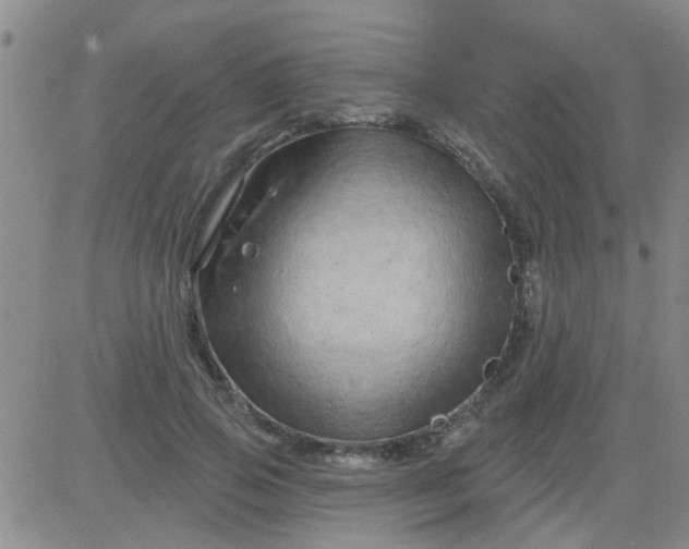 X0000083990741200703021939