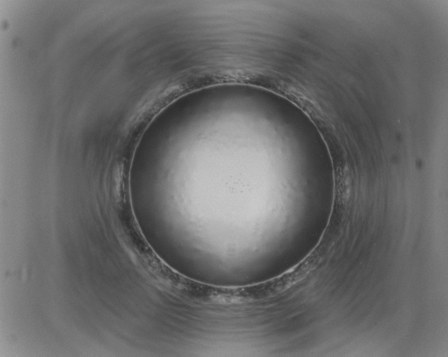 X0000083990742200703021939