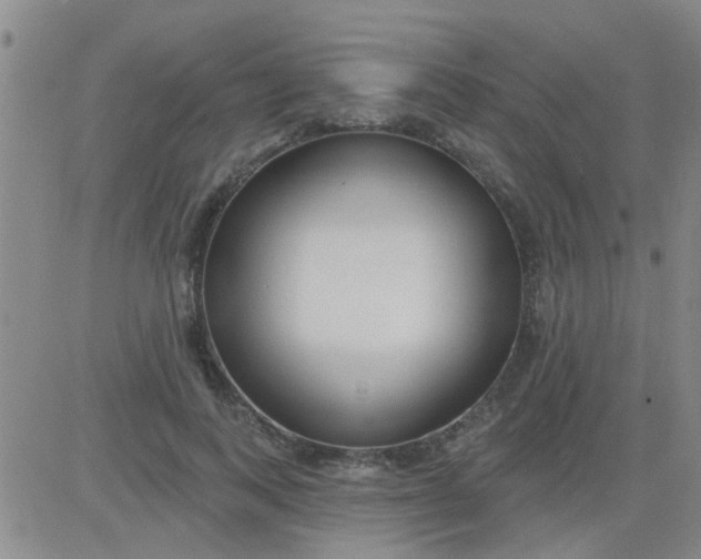 X0000083990743200703021939