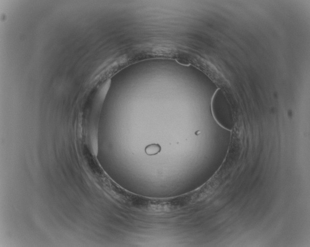 X0000083990744200703021939