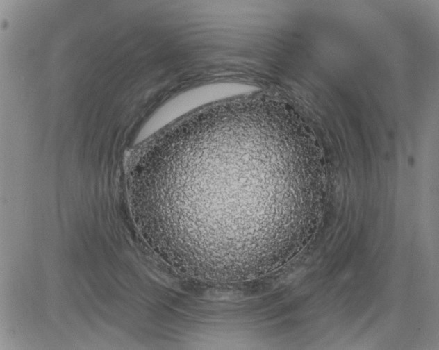 X0000083990745200703021939