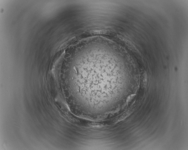 X0000083990746200703021939