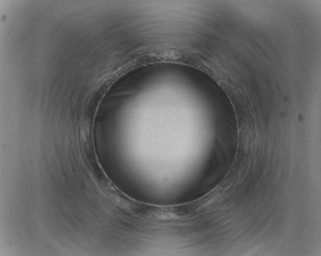 X0000083990747200703021939