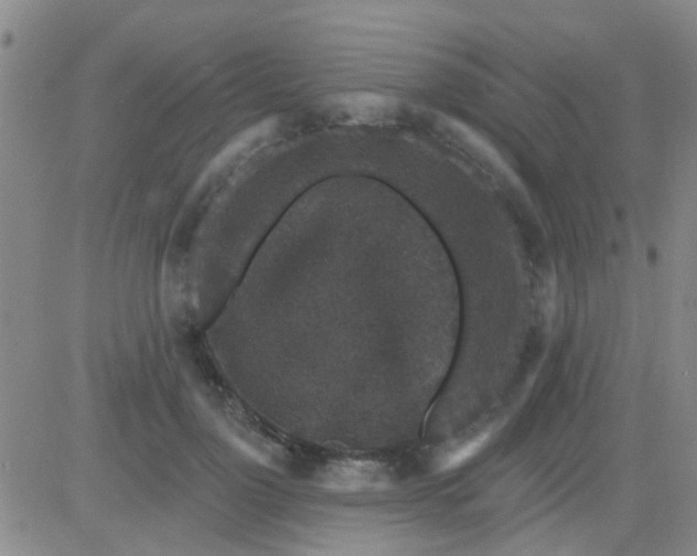 X0000083990748200703021939