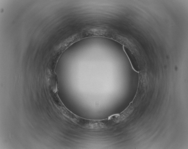 X0000083990752200703021939