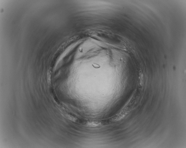 X0000083990753200703021939