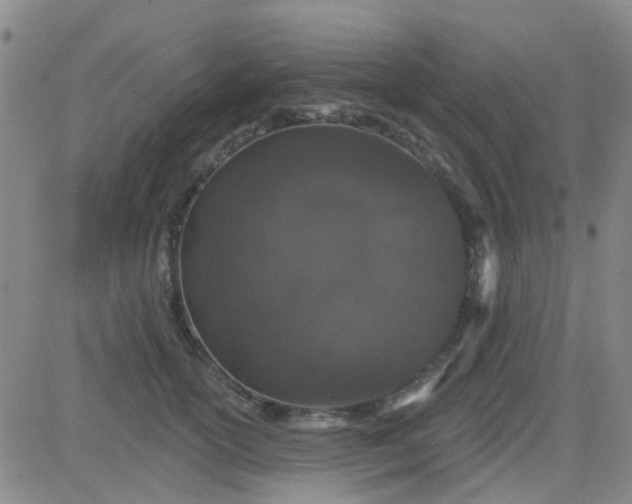 X0000083990754200703021939