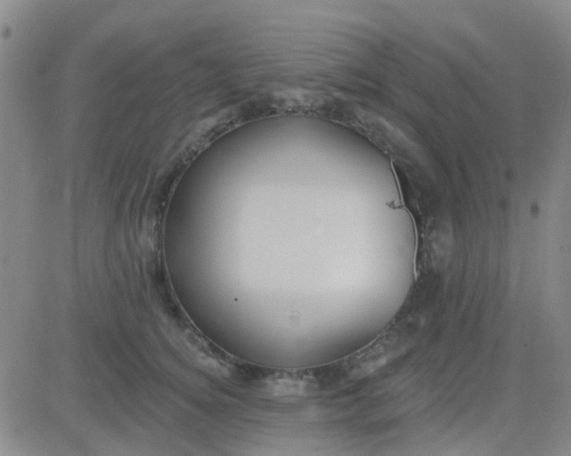 X0000083990756200703021939