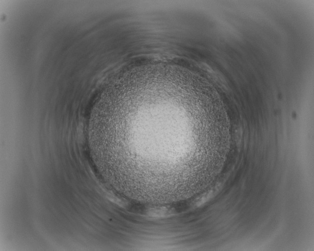 X0000083990757200703021939