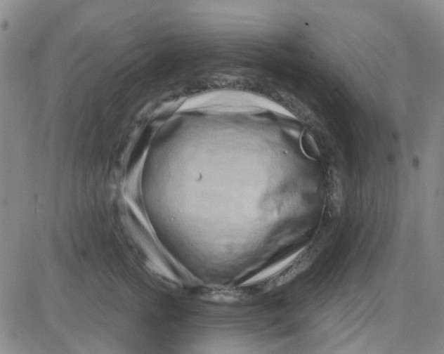 X0000083990758200703021939