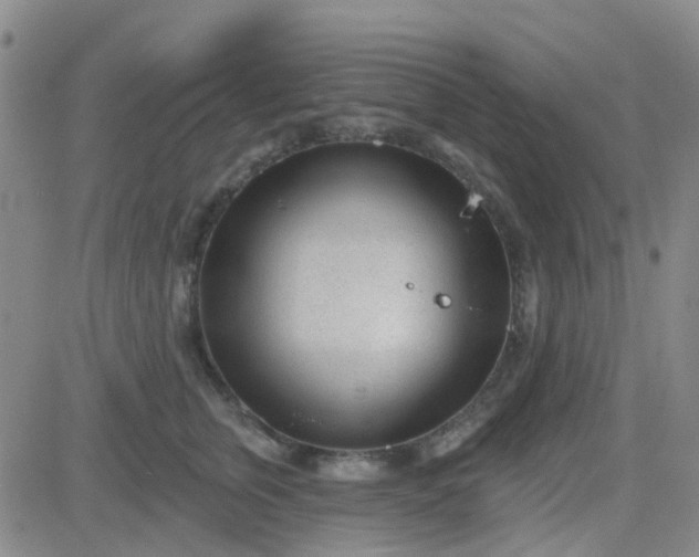 X0000083990759200703021939