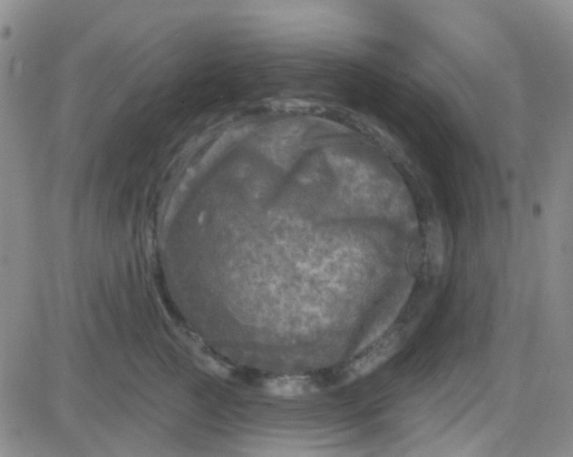 X0000083990761200703021939