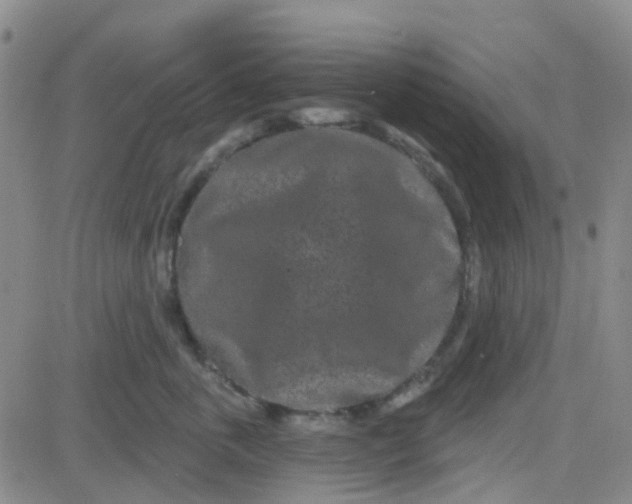 X0000083990763200703021939