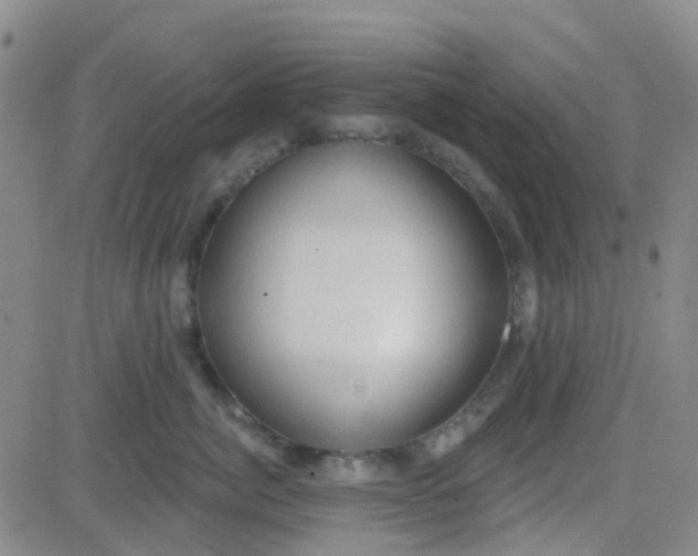 X0000083990764200703021939