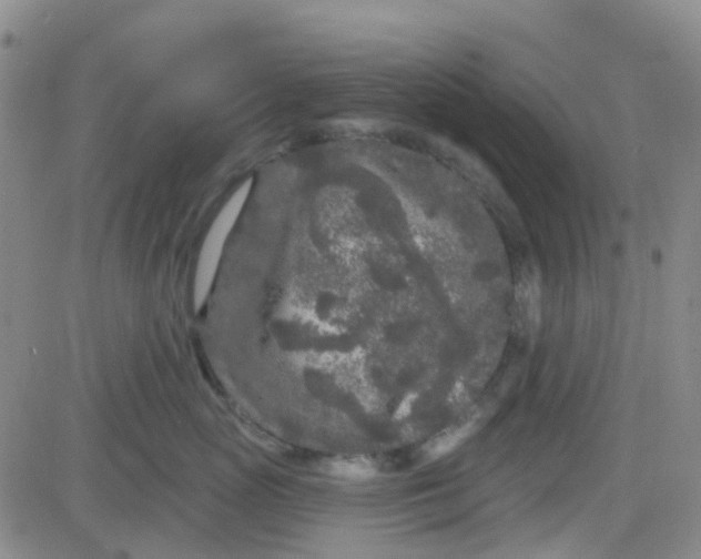 X0000083990765200703021939