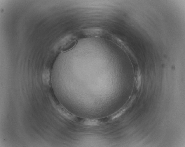 X0000083990767200703021939