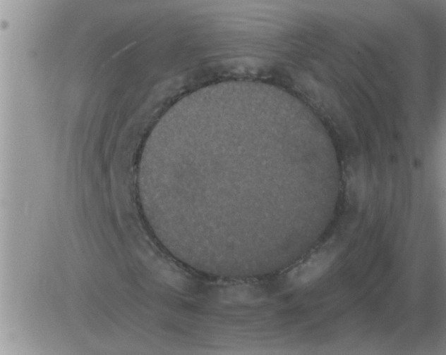 X0000083990769200703021939