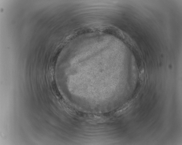 X0000083990772200703021938