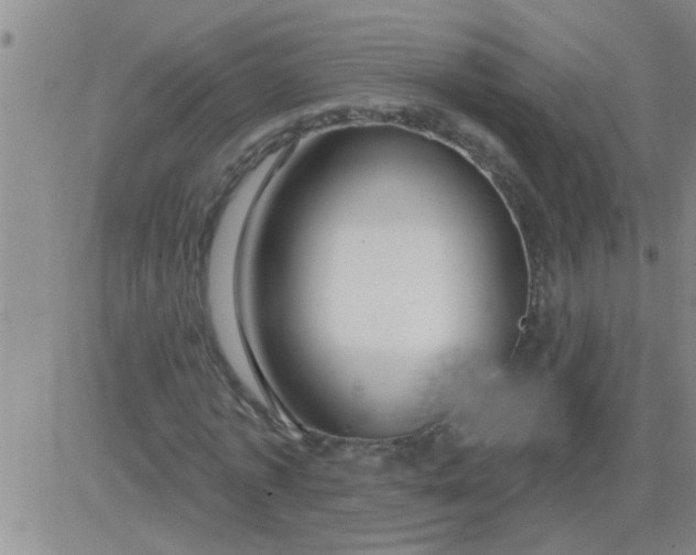 X0000083990773200703021938