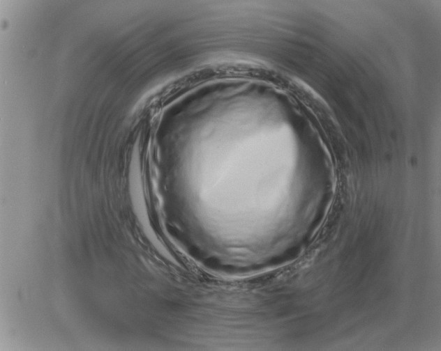 X0000083990775200703021938