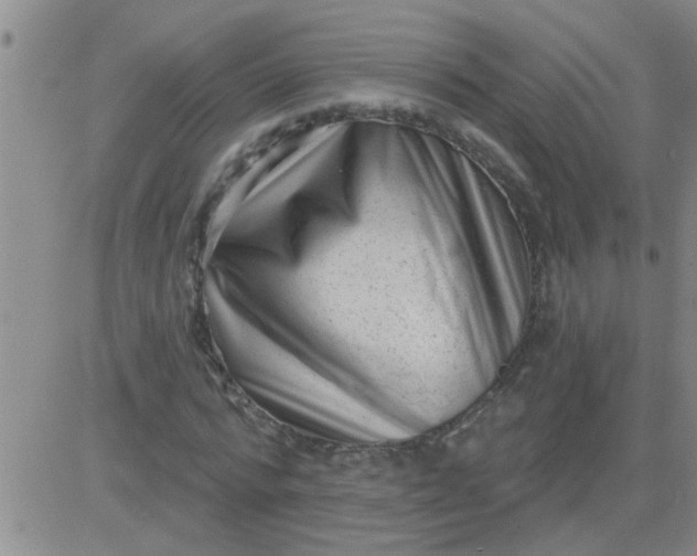 X0000083990776200703021938