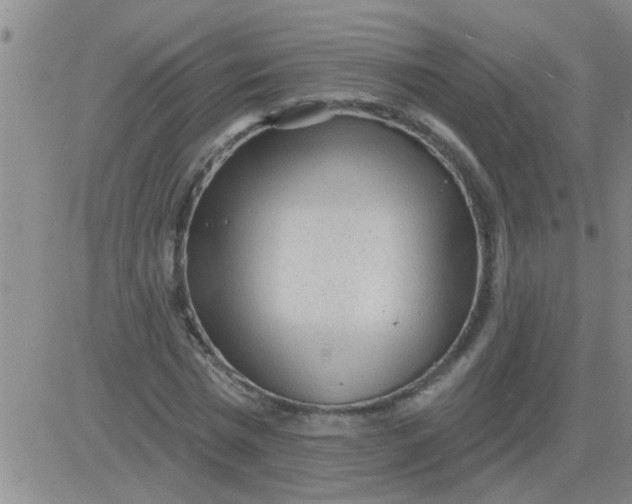 X0000083990777200703021938