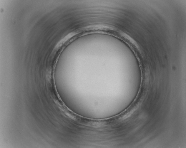 X0000083990778200703021938