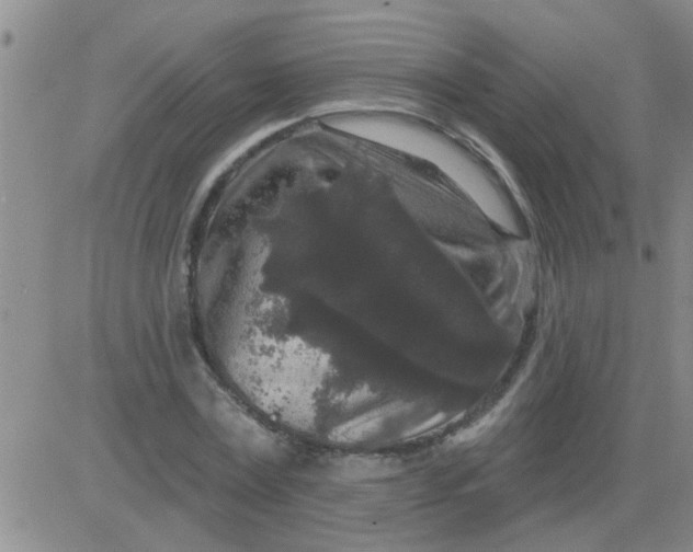 X0000083990779200703021938