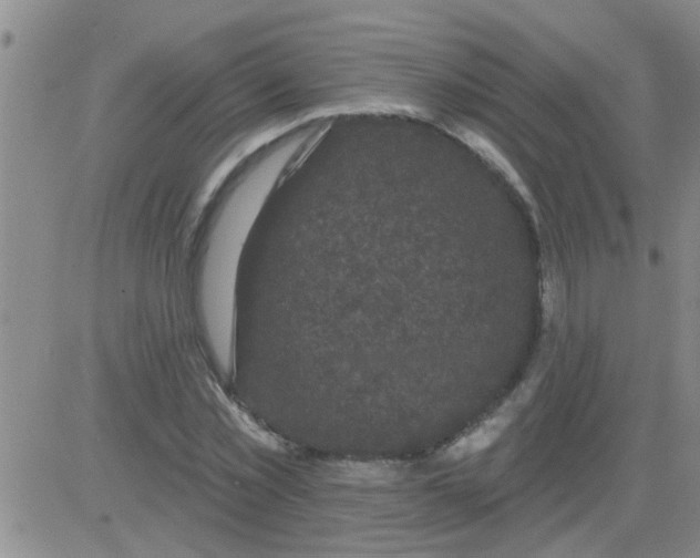 X0000083990781200703021938