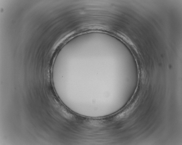 X0000083990782200703021938