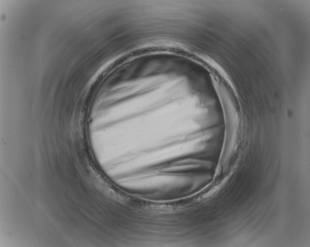 X0000083990783200703021938