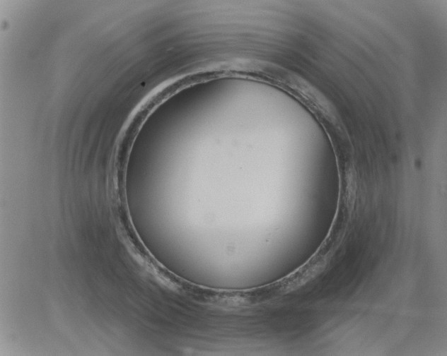 X0000083990784200703021938